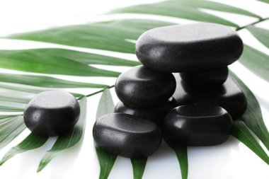 Yeşil palmiye yaprağı üzerinde beyaz izole Spa taşı