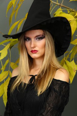 gri arka plan üzerinde Halloween cadı