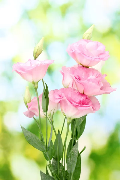 Bukiet kwiatów eustoma, na zielonym tle — Zdjęcie stockowe
