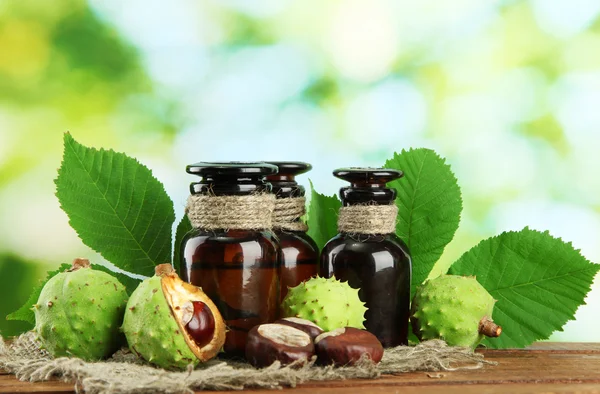 Frascos medicinales con castañas y hojas, sobre fondo verde — Foto de Stock