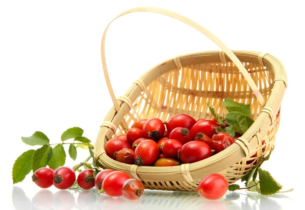 Ripe hip roses with leaves in basket, isolated on white — Stock Photo, Image