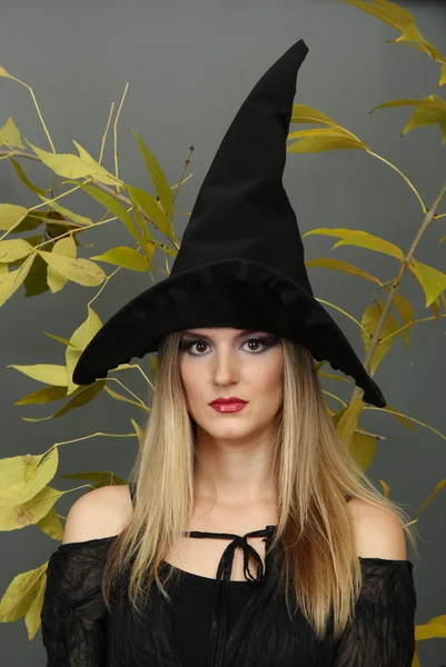 Strega di Halloween su sfondo grigio — Foto Stock