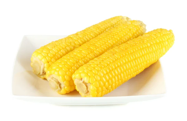 Boiled corn isolated on gray on the white plate — Stock Photo, Image