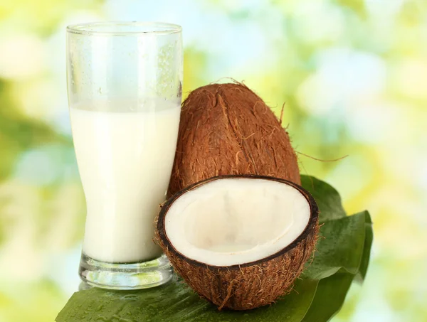 Glass of coconut milk and coconuts on green background close-up — Stock Photo, Image