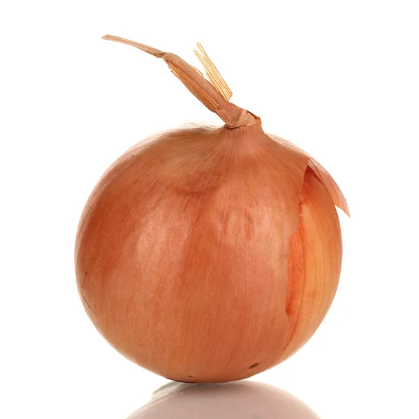 Ripe onion isolated on white — Stock Photo, Image