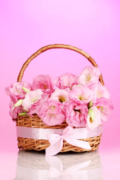 Bouquet of eustoma flowers in basket, on pink background — Stock Photo, Image