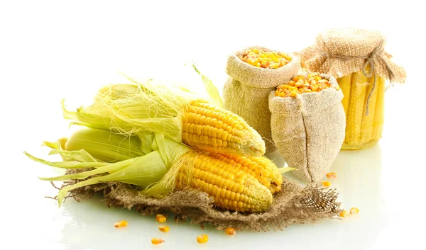 Fresh corn and bags with dry corn, isolated on white — Stock Photo, Image