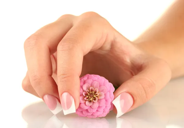 Fleur rose avec la main de la femme sur fond blanc — Photo