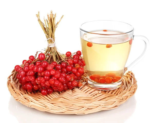 Tea with red viburnum isolated on white — Stock Photo, Image