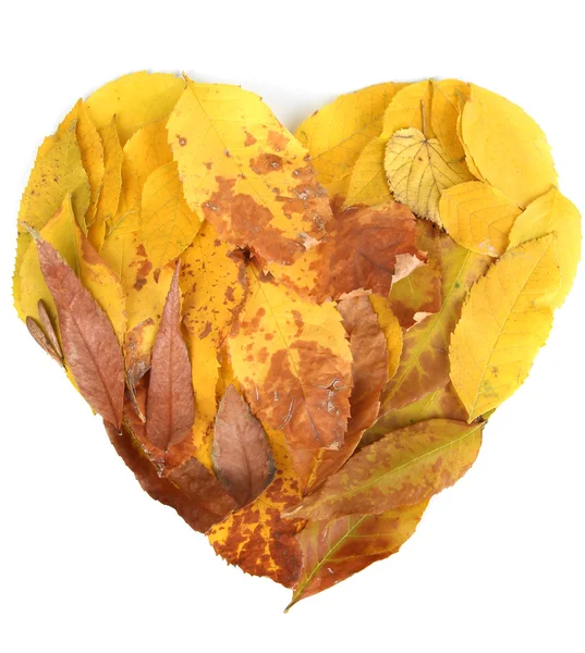 Helle Herbstblätter liegen in Herzform isoliert auf weißem Grund — Stockfoto