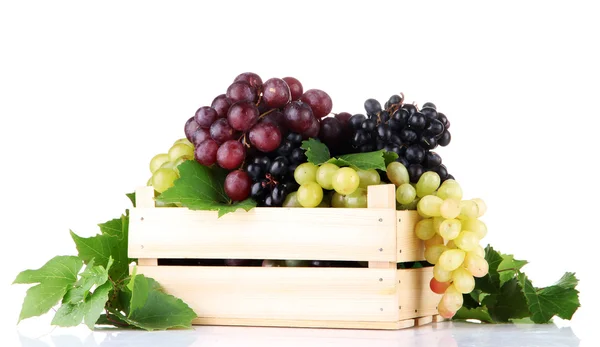 Ассортимент спелых сладких винограда в деревянном ящике, изолированном на белом — стоковое фото
