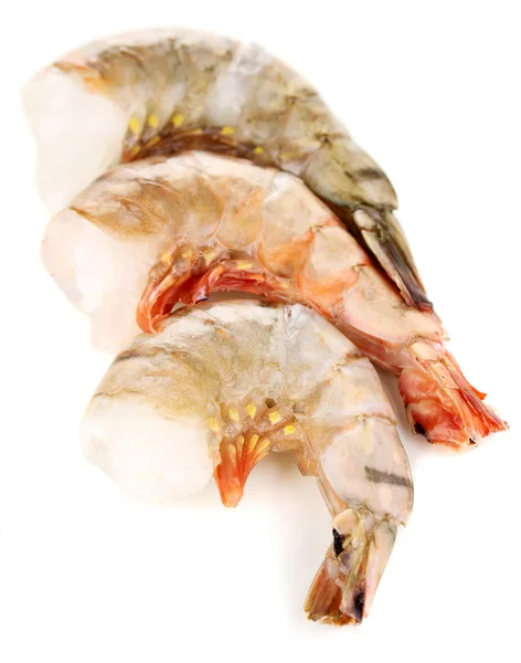 Krevety izolované na bílém — Stock fotografie
