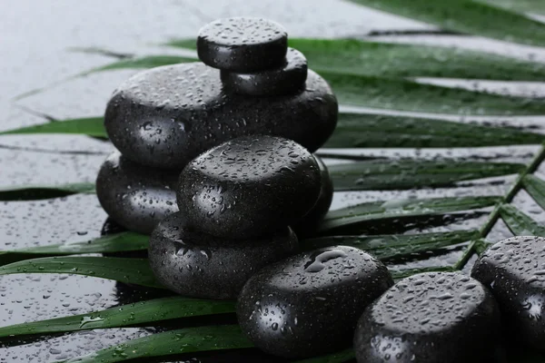 Спа камені з краплями на зеленому пальмовому листі на сірому фоні — стокове фото