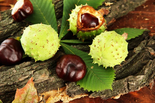 Castanhas com folhas secas de outono e casca, em fundo de madeira — Fotografia de Stock