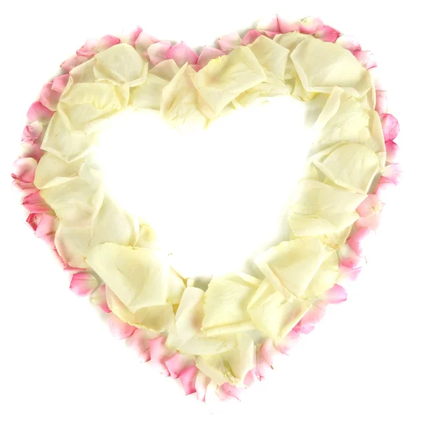 Beautiful heart of white rose petals surrounded by pink petals isolated on white — Stock Photo, Image