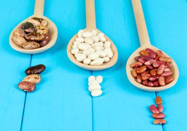 Diversi tipi di fagioli in cucchiai di legno primo piano su tavolo di legno blu — Foto Stock