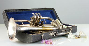 gri arka plan üzerinde para ile müzik aleti