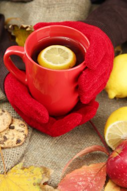 fincan sıcak içecek ve sonbahar yaprakları, çuval bezi arka planda tutan eller