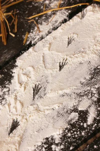 Traces of mouse on flour on wooden table — Stock Photo, Image