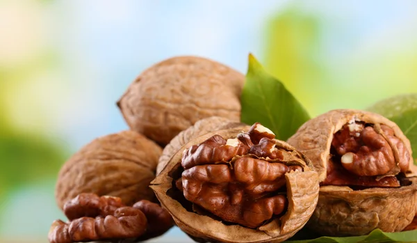 Walnuts with green leaves, on green background — Stock Photo, Image