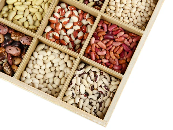 Diverse beans in wooden box sections isolated on white — Stock Photo, Image