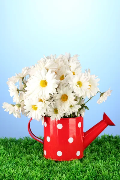 Blumen in der Vase auf Gras auf blauem Hintergrund — Stockfoto