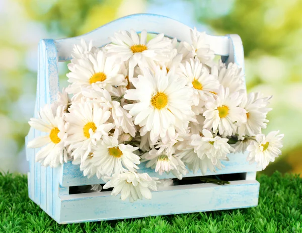 Květiny v dřevěné krabici na trávě na světlé pozadí — Stock fotografie