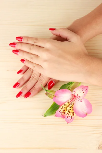 Woman hands with flower on wooden background — Stock Photo, Image