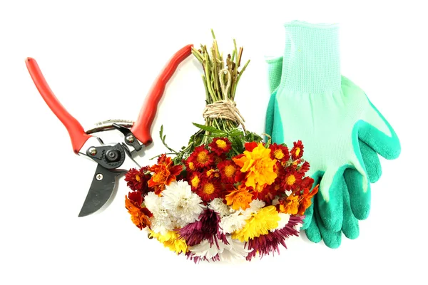 Zahradnické nůžky s květinami izolovaných na bílém — Stock fotografie