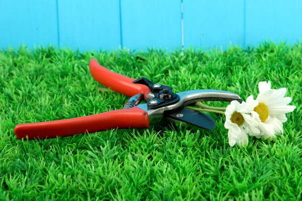 Gartenschere mit Blume auf Gras auf Zaun Hintergrund — Stockfoto