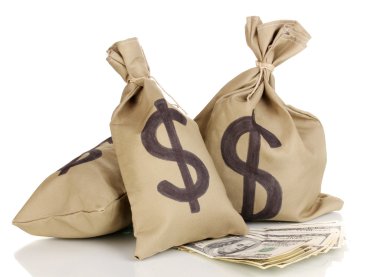 beyaz izole para ile çanta