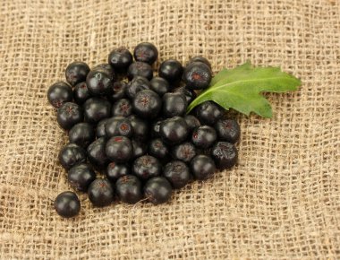 chokeberry çuval arka plan yakın çekim yeşil yaprağı ile