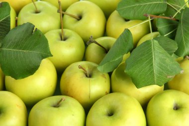 Sulu elma yeşil yaprakları ile yakın çekim