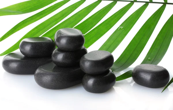 Wellness kameny a zelené Palmový list izolované na bílém — Stock fotografie