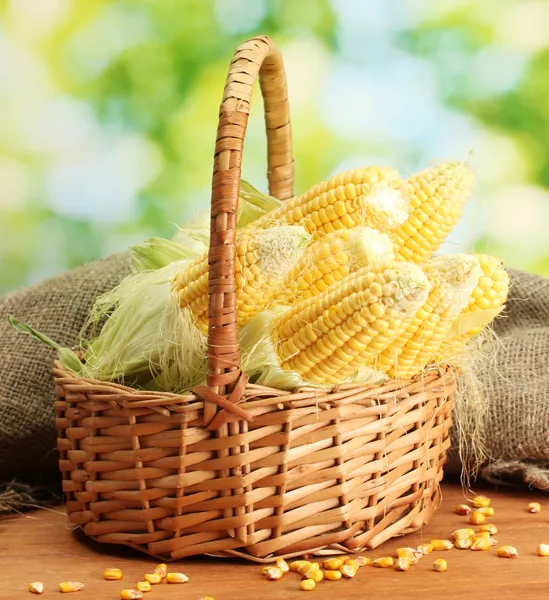 Čerstvé kukuřice v koši, na dřevěný stůl, na zeleném pozadí — Stock fotografie