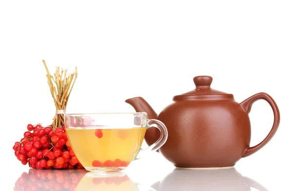 Herbata czerwona Kalina na białym tle — Zdjęcie stockowe