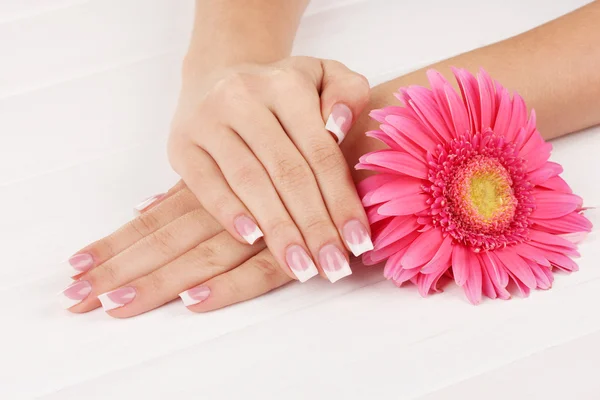 Manos de mujer con manicura francesa y flor sobre fondo de madera blanca —  Fotos de Stock