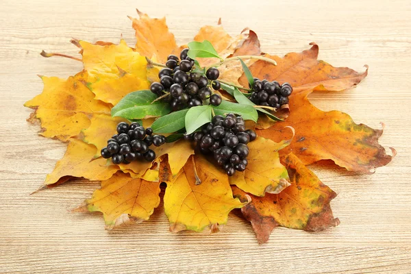 Světlé podzimní listí a lesních plodů, na dřevěné pozadí — Stock fotografie