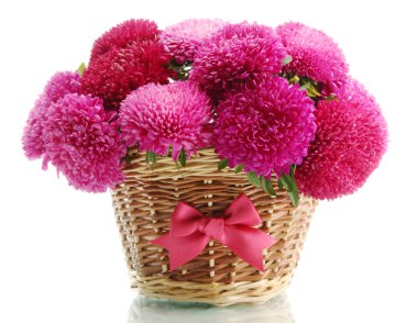 beyaz izole pembe aster çiçek sepeti,