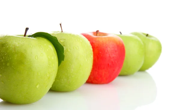 Спелые зеленые яблоки и одно красное яблоко, изолированное на белом — стоковое фото
