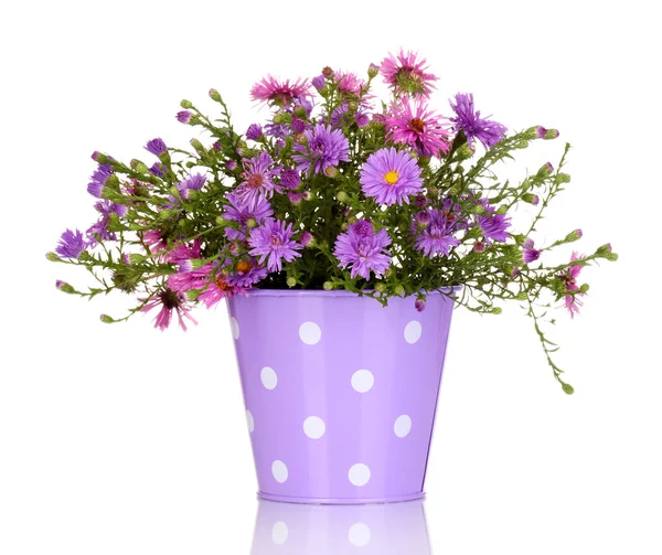 Beautiful bouquet of purple flowers in metal pot isolated on white — Stock Photo, Image