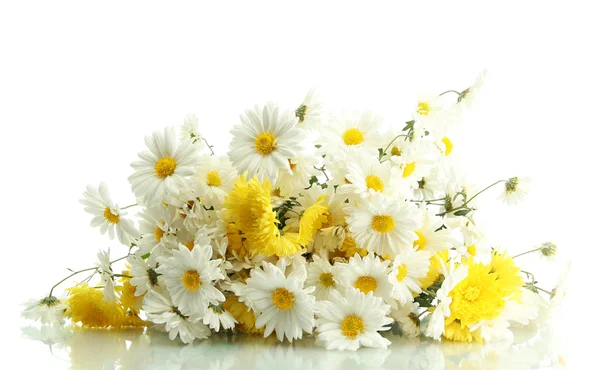 Bouquet of beautiful daisies flowers, isolated on white — Stock Photo, Image