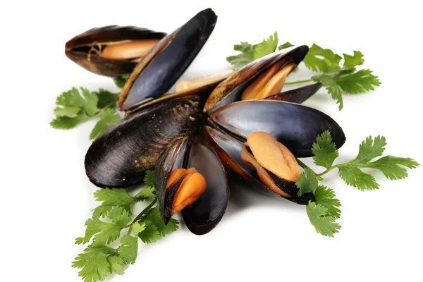 Mussels in shell with fresh herbs isolated on white — Stock Photo, Image