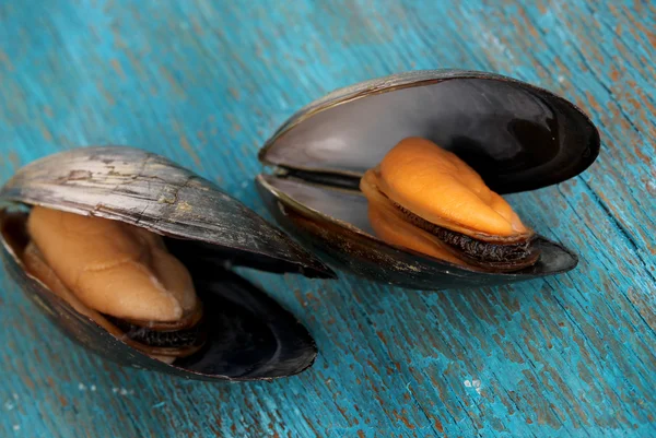 Mejillones con concha sobre mesa de madera azul — Foto de Stock