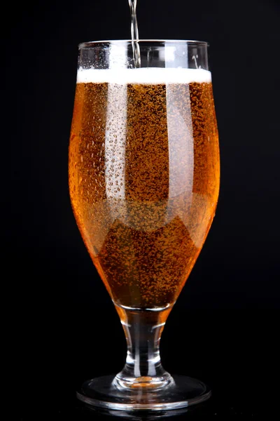 Glass of beer isolated on black — Stock Photo, Image