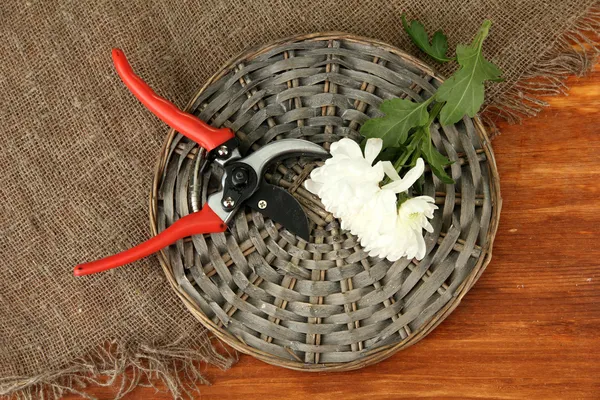 Tijeras de podar con flor sobre tela de saco sobre fondo de madera —  Fotos de Stock