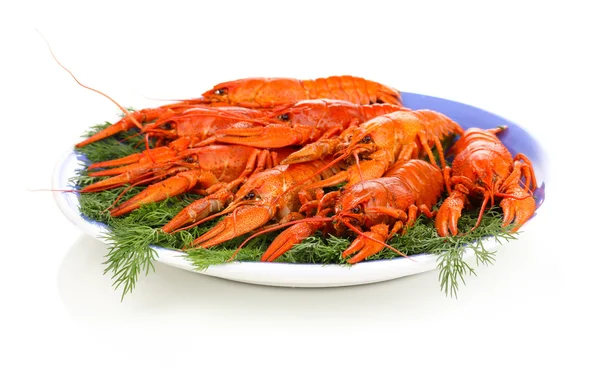 Tasty boiled crayfishes with fennel on plate isolated on white Stock Picture