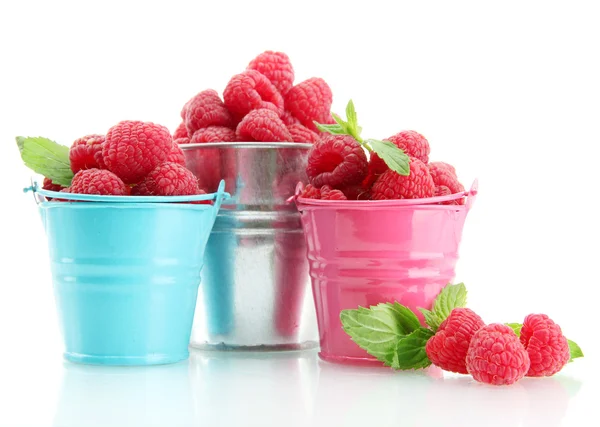 Beautiful raspberries in buckets isolated on white — Stock Photo, Image