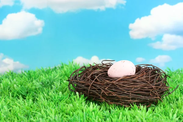 Uovo pasquale colorato su erba — Foto Stock