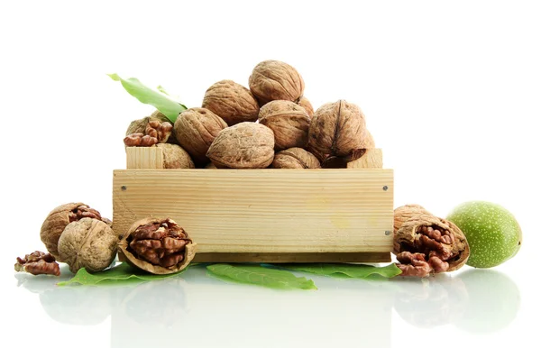 Грецкие орехи с зелеными листьями в деревянном ящике, изолированные на белом — стоковое фото
